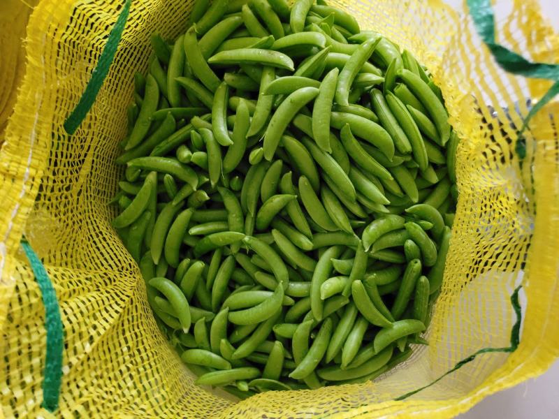 荷兰豆甜豌豆