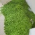 荷兰豆甜豌豆