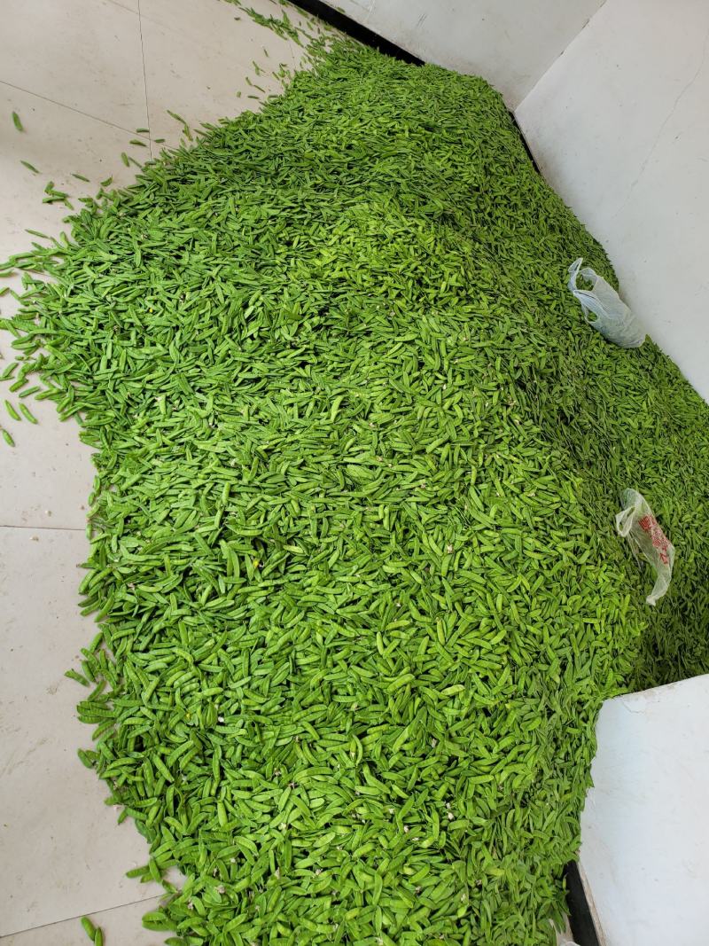 荷兰豆甜豌豆
