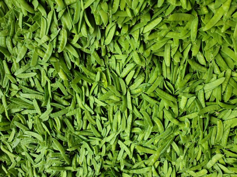 荷兰豆甜豌豆
