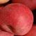 红富士苹果大量上市产地货源，甜美可口，欢迎采购