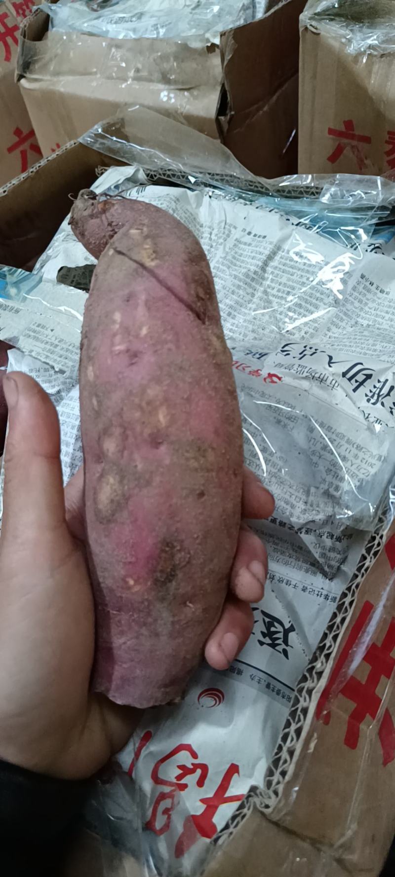 西瓜红