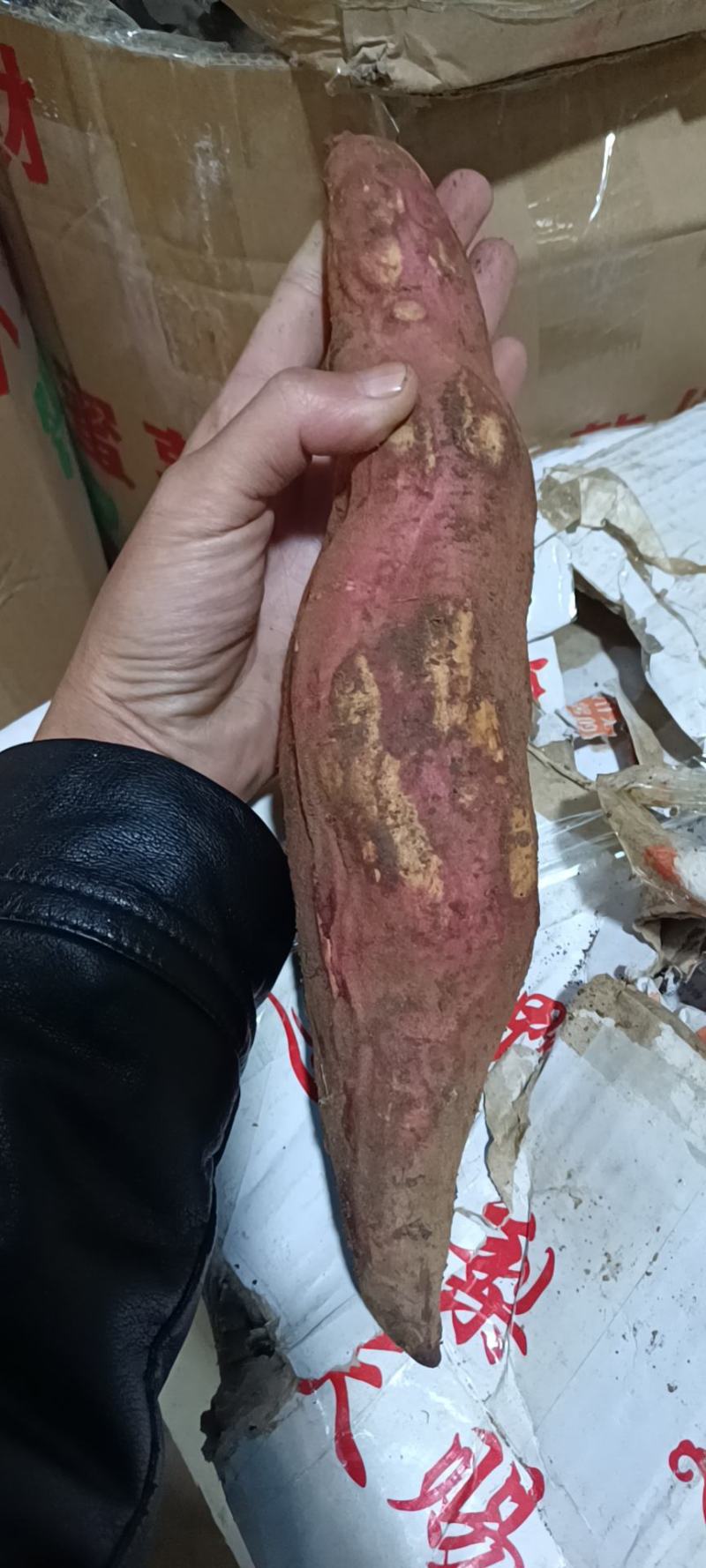 西瓜红
