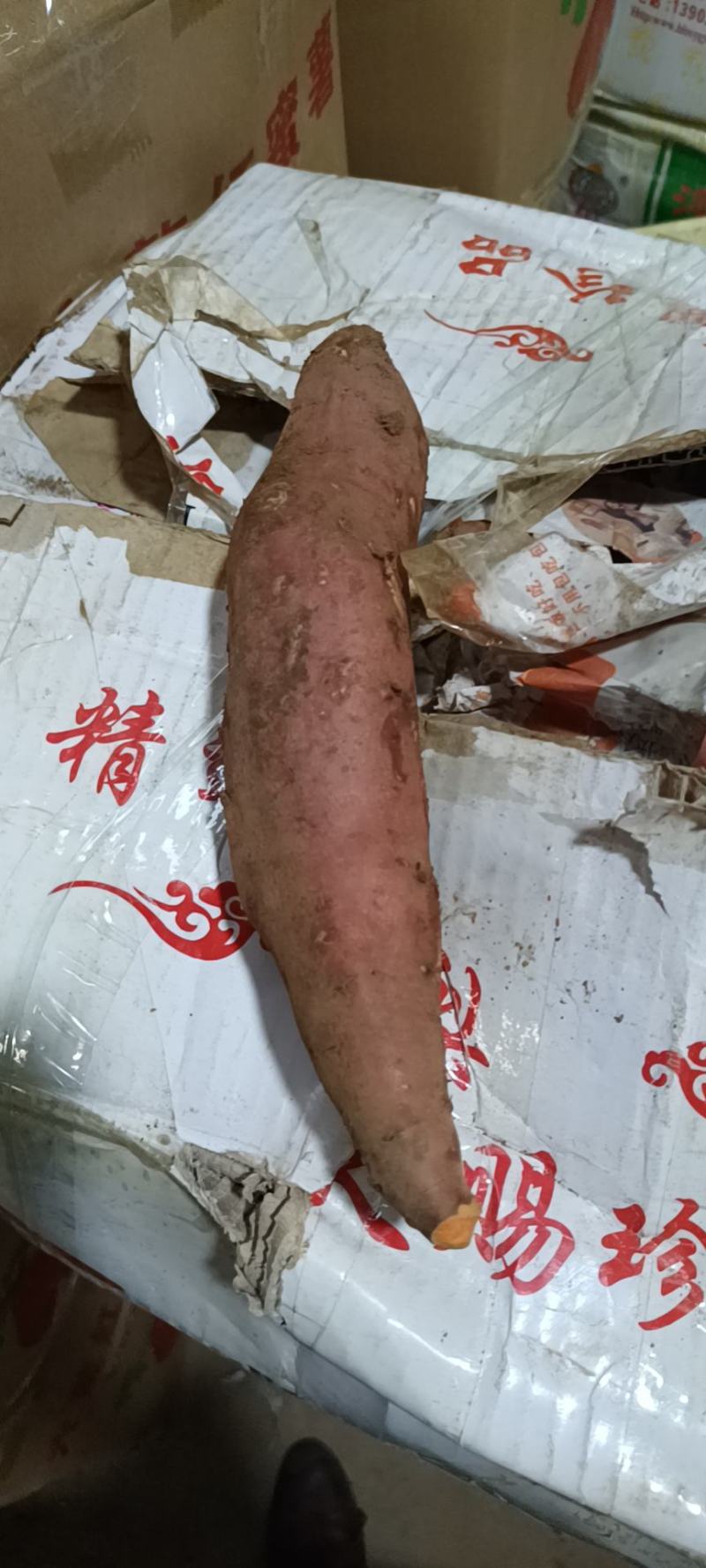西瓜红