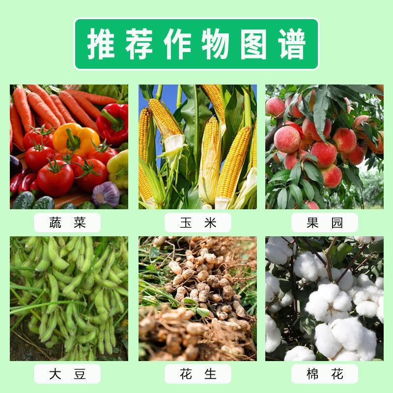 二甲戊灵除草剂韭菜棉花一年生杂草苗前封闭除草剂