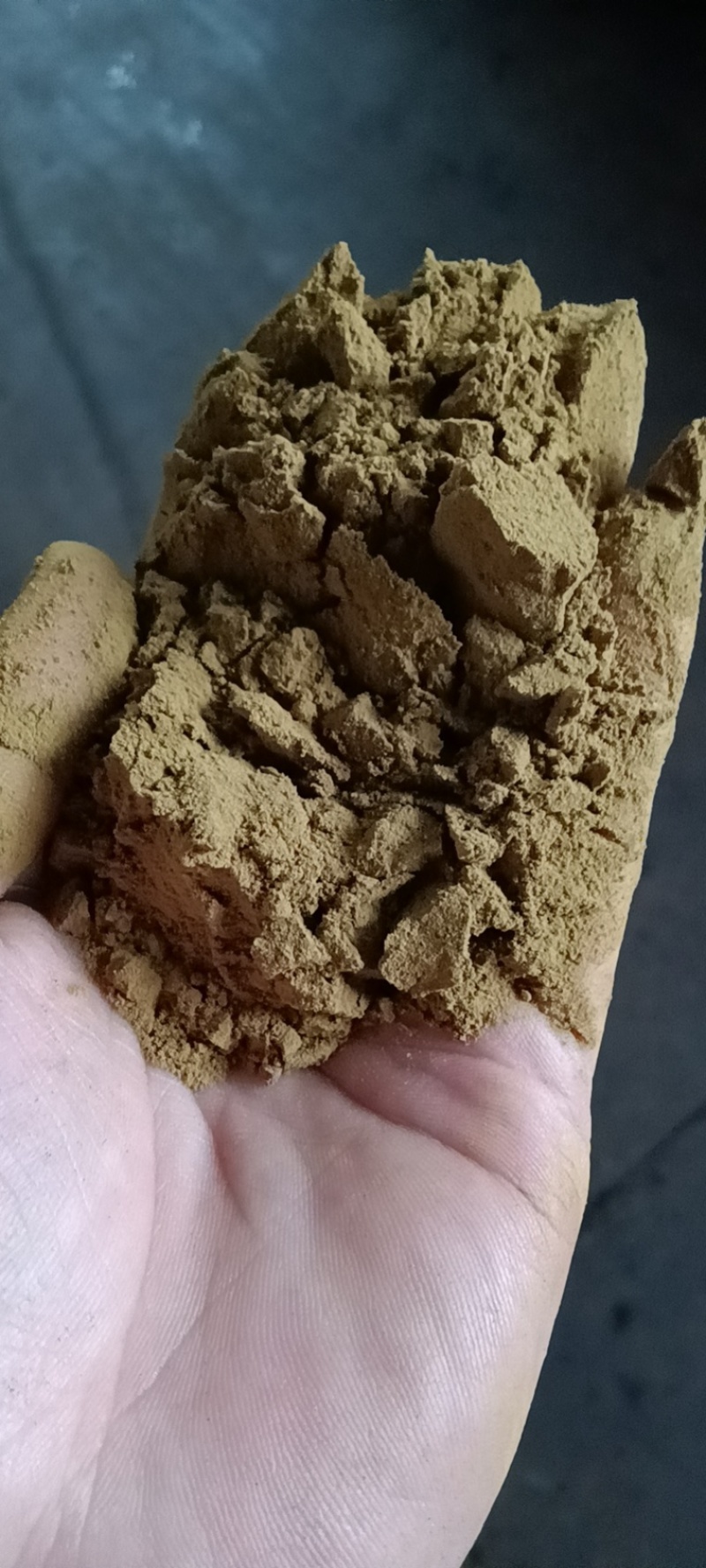 肝胆益肾宝