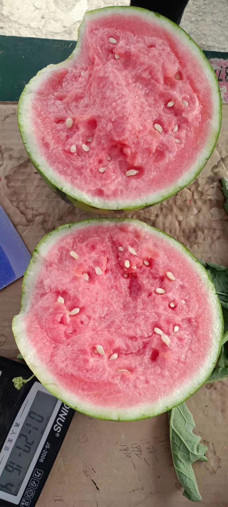 美都麒麟西瓜产地直发口感好耐运输质量保证欢迎来电咨询