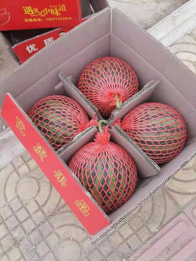 美都麒麟西瓜产地直发口感好耐运输质量保证欢迎来电咨询