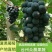 宁波杭州湾江苏台州三门夏黑葡萄，代收发货，