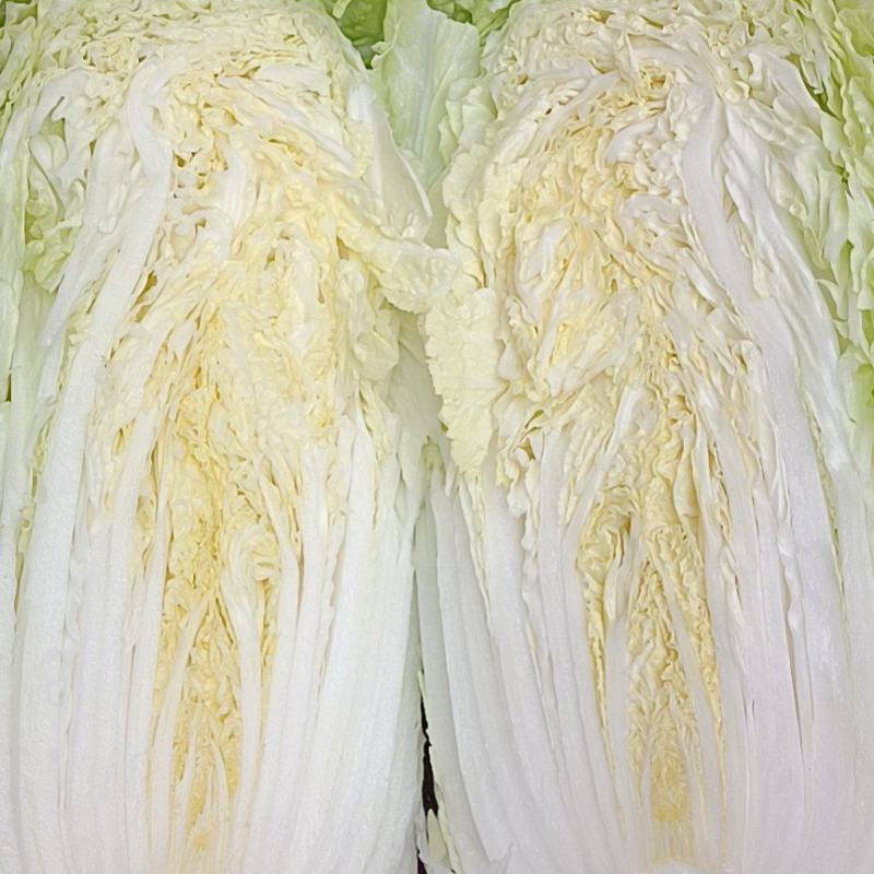 大白菜