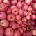 山东红富士苹果，常年有货，保证质量，全国发货