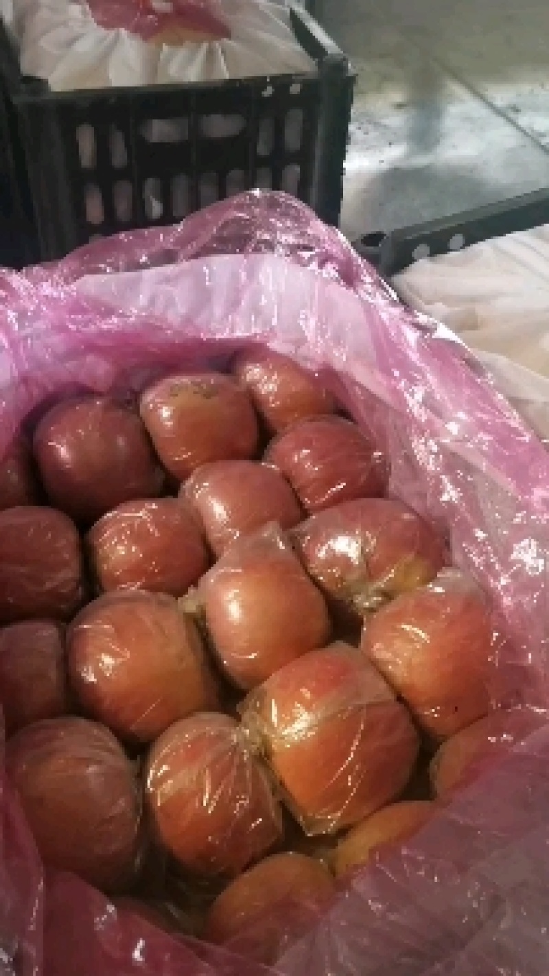 冠县红富士苹果