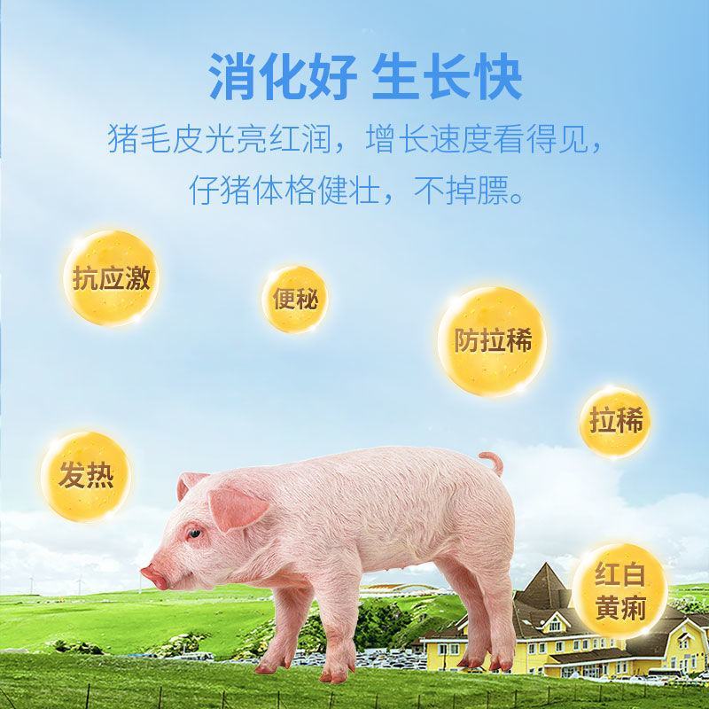 撒立停：专治仔猪腹泻，拉稀，提高仔猪成活率
