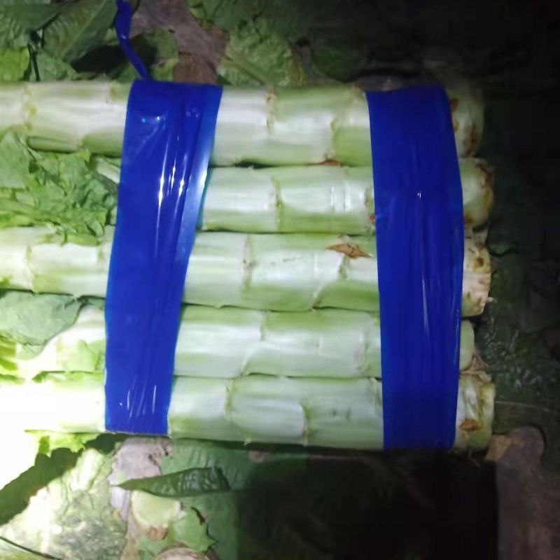 精品红叶莴笋，笋肉翠绿甘甜，量大品质高欢迎各位老板购买