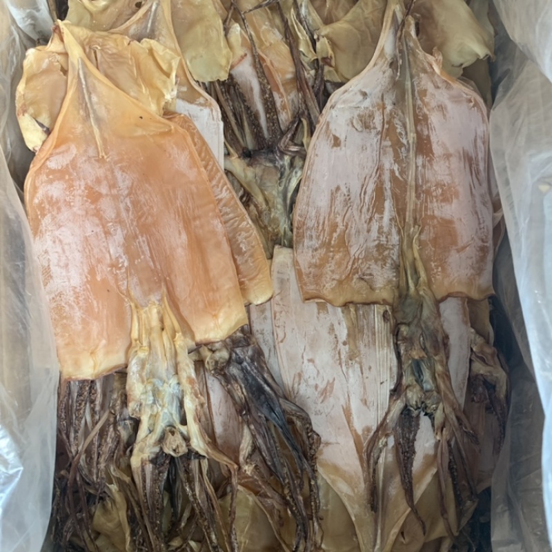 鱿鱼干烧烤炒菜专用2-3两一条