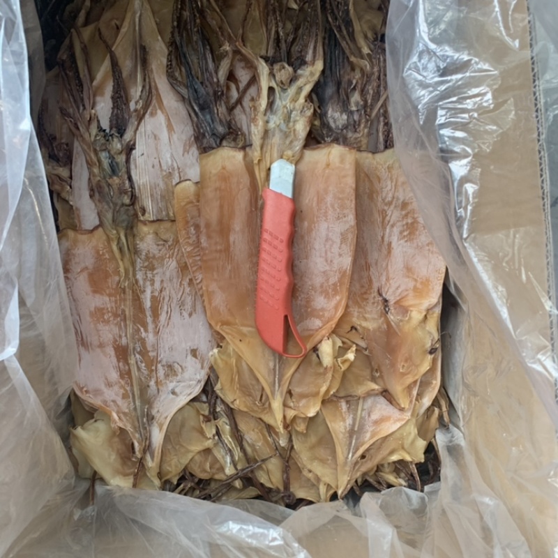 鱿鱼干烧烤炒菜专用2-3两一条
