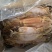 鱿鱼干烧烤炒菜专用2-3两一条