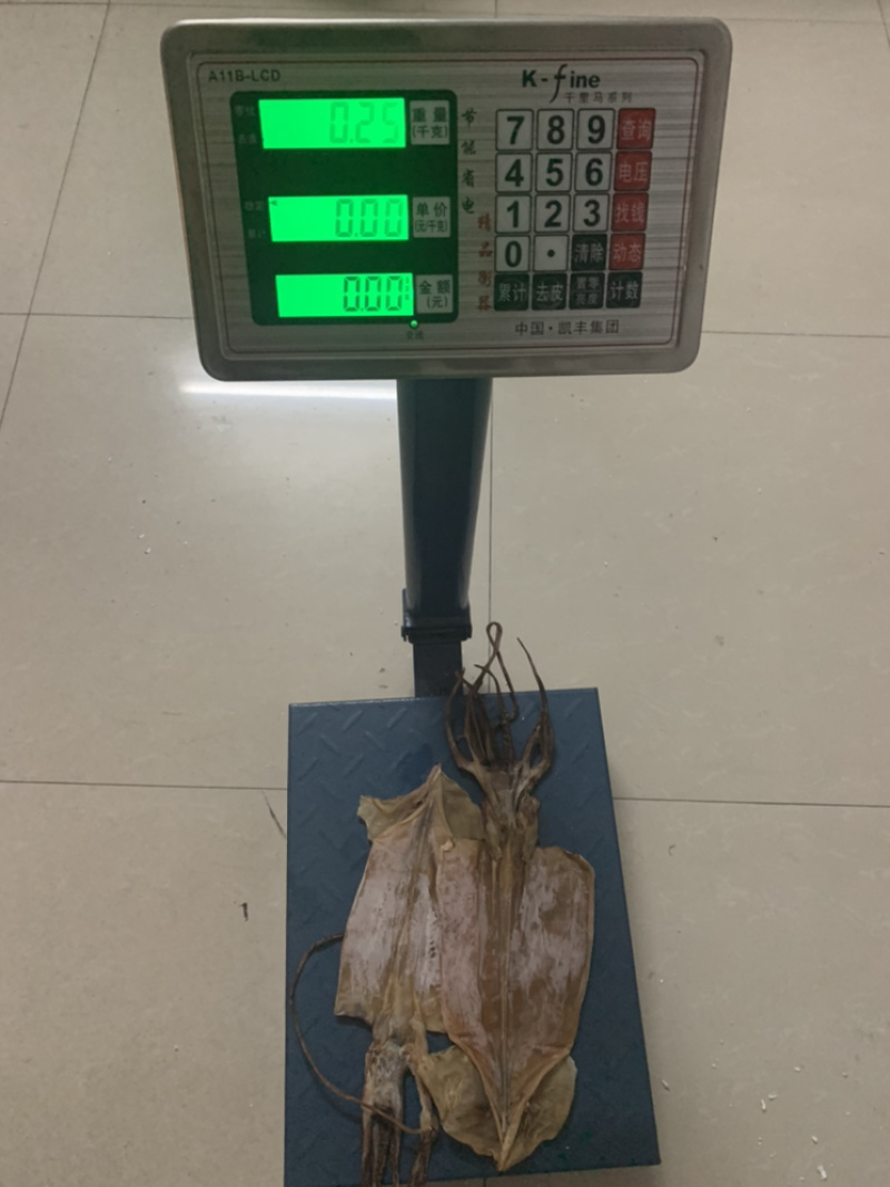 鱿鱼干烧烤炒菜专用2-3两一条