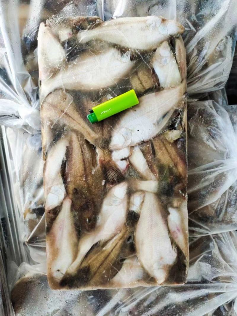 蝶鱼长脖鱼比目鱼新鲜速冻商超电商专用