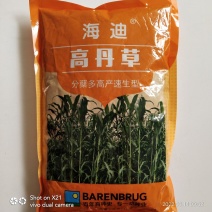 高丹草种子养鱼牛羊专用牧草品种原装特高产种子