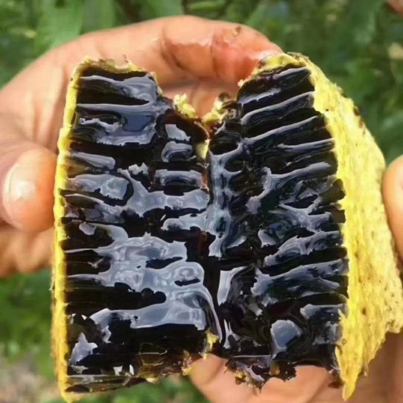 黑蜂蜜，云南高海拔米团花黑蜂蜜，药用价值高产地一手货源