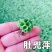 浮萍水草肚兜萍养鱼龟虾水生水培植物芙蓉养鱼缸造景四季净化