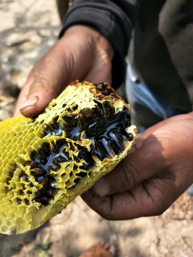 黑蜂蜜，云南高海拔米团花黑蜂蜜，药用价值高产地一手货源