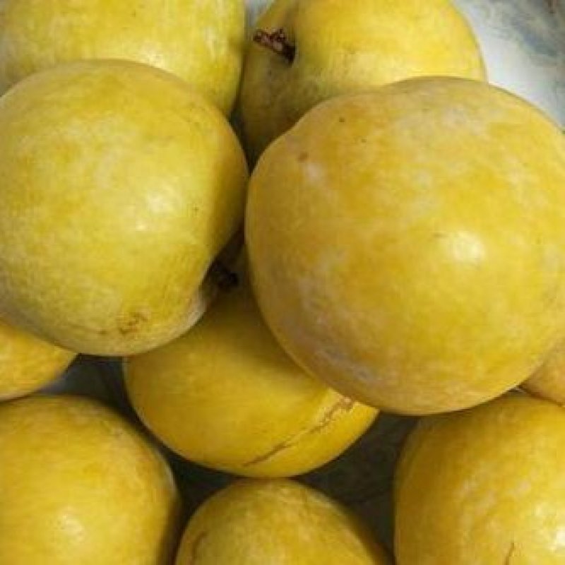 【精选优品】黄金李湖南郴州市种植黄金奈李肉脆纯甜一件代发