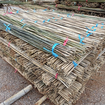 竹子2.5米，一包50根。