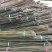 竹子2.5米，一包50根。