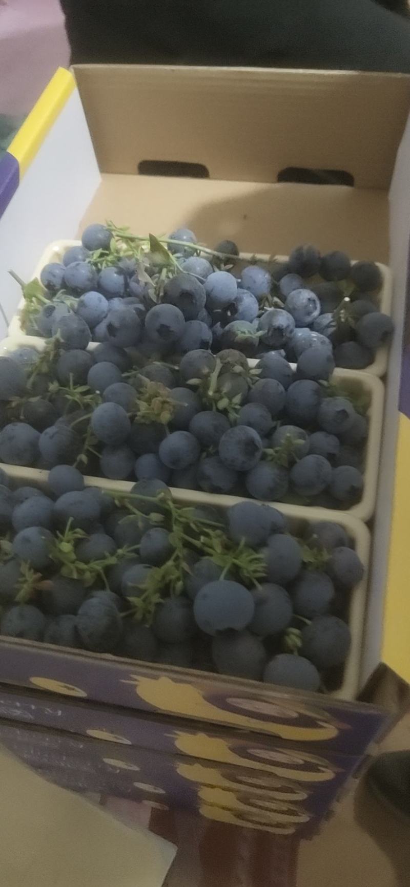 蓝莓