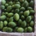 广东香水柠檬