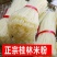 包邮正宗桂林米粉无添加手工干米粉纯大米粗粉条螺丝蛳粉米线