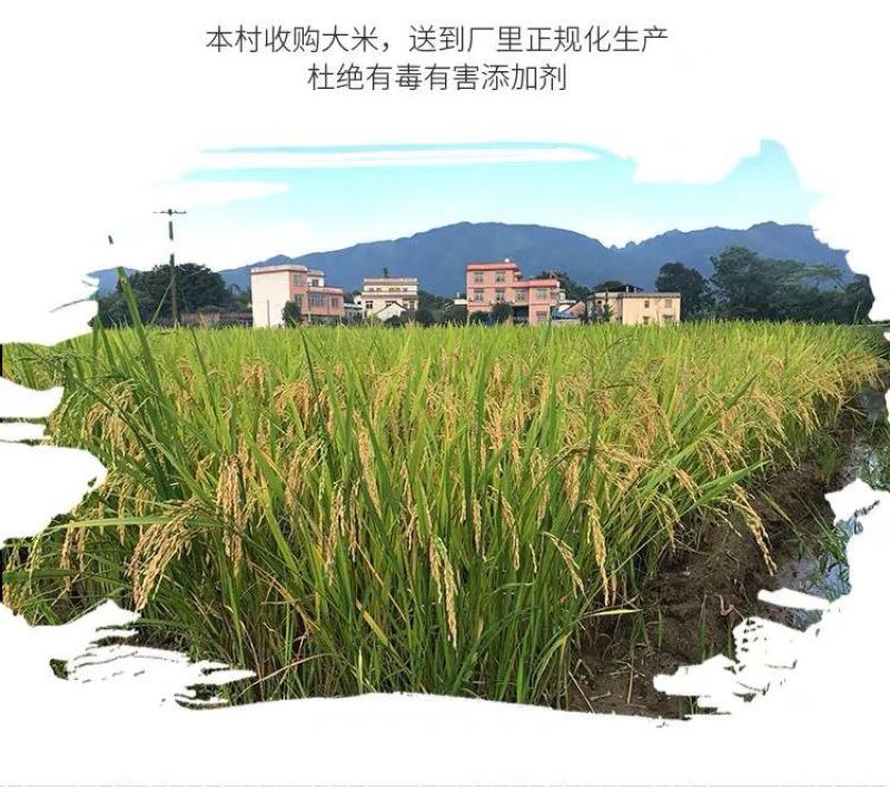 包邮正宗桂林米粉无添加手工干米粉纯大米粗粉条螺丝蛳粉米线