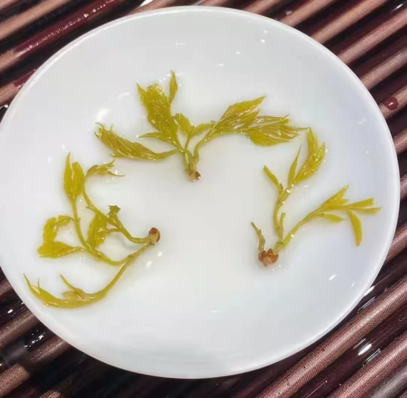湖南湘西土家霉茶一手货源质量保证货源充足