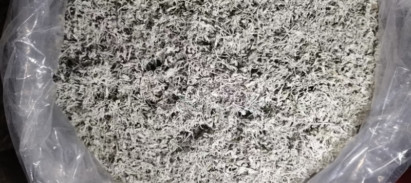 湖南湘西土家霉茶一手货源质量保证货源充足