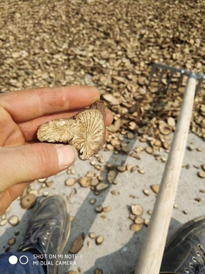 贵州中药材青风藤青藤大风藤大青藤产地一手货源
