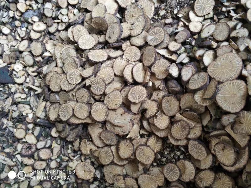 贵州中药材青风藤青藤大风藤大青藤产地一手货源