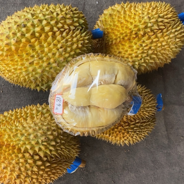 泰国榴莲金枕头，常年供应批发可整车对接，批发一手货源
