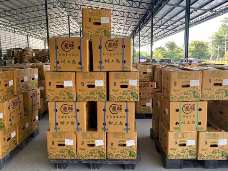 泰国榴莲金枕头，常年供应批发可整车对接，批发一手货源