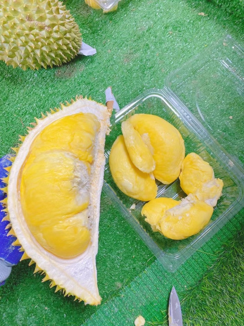 泰国榴莲金枕头，常年供应批发可整车对接，批发一手货源