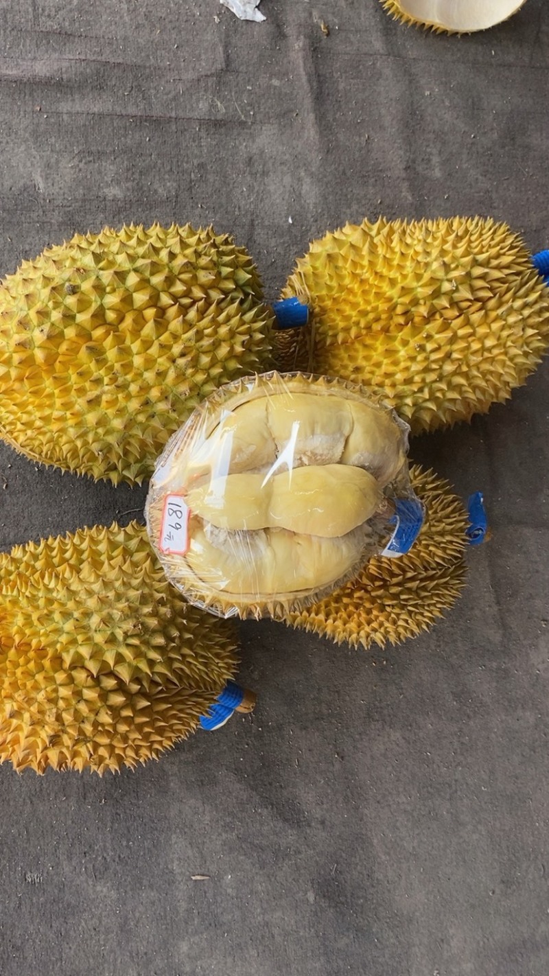 泰国榴莲金枕头，常年供应批发可整车对接，批发一手货源