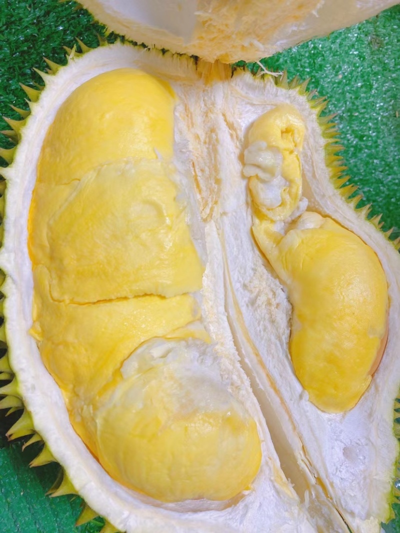 泰国榴莲金枕头，常年供应批发可整车对接，批发一手货源
