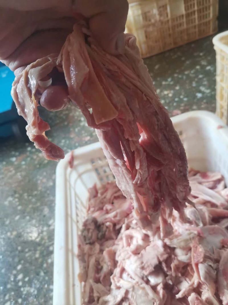 纯干筋头巴脑