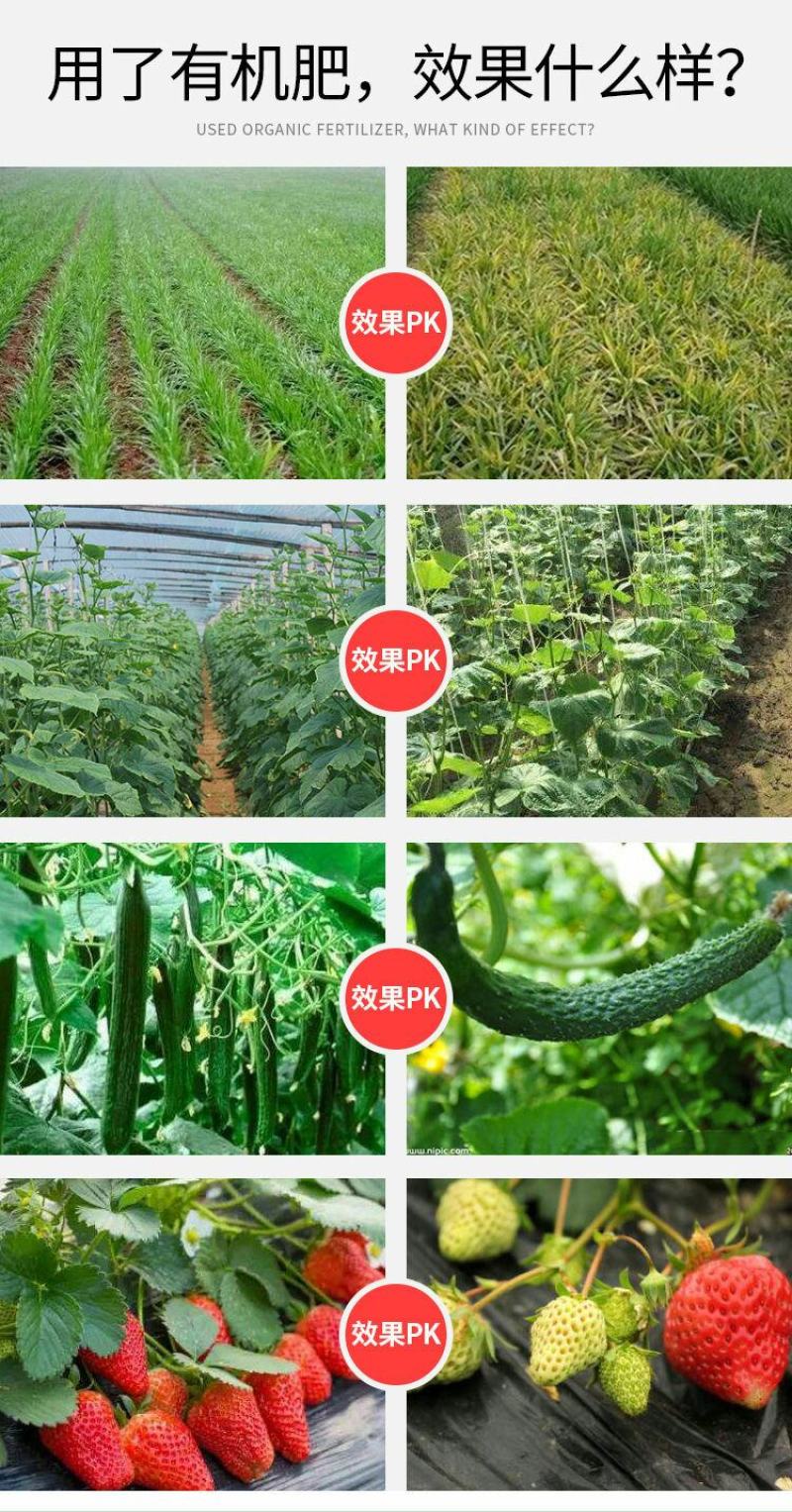内蒙纯羊粪发酵肥料绿植养花果树蔬菜花生盆栽多肉通用型肥料