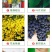 内蒙纯羊粪发酵肥料绿植养花果树蔬菜花生盆栽多肉通用型肥料