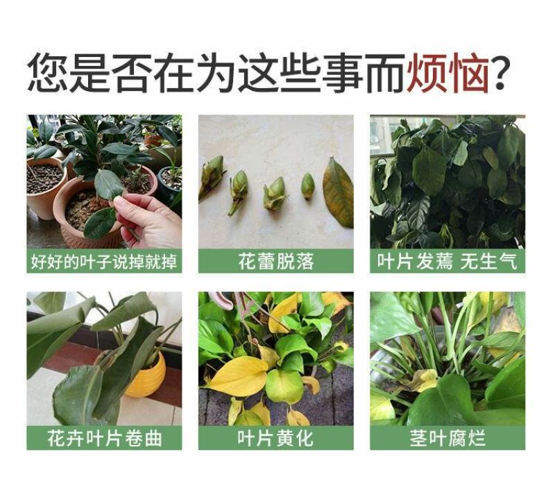 室内种花养花生物有机肥小包装方便卫生无异味内蒙纯羊粪腐熟