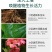 室内种花养花生物有机肥小包装方便卫生无异味内蒙纯羊粪腐熟