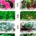 室内种花养花生物有机肥小包装方便卫生无异味内蒙纯羊粪腐熟