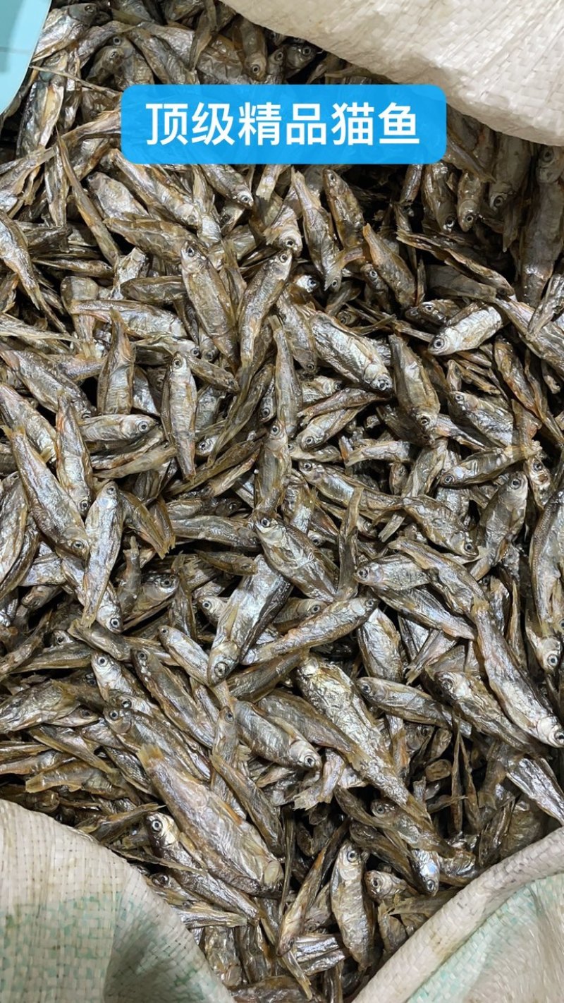 无盐鱼干宠物鱼干乌龟口粮猫粮饲料鱼